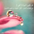 الصورة الرمزية كنت هنآ